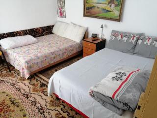 Rustic house - Turnu Măgurele - 8