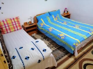 Rustic house - Turnu Măgurele - 5