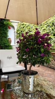 B&B Villa Mamma Rita - Tortora - 2