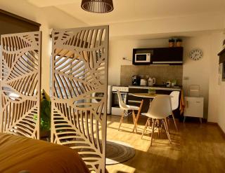 Hermoso estudio amoblado con cochera MOVISTAR ARENA - Buenos Aires - 4