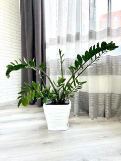 OSapart Cozy apartment in a complex Semycvit - 8