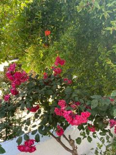 Males House - Malles - 1