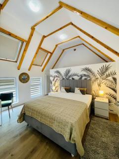 Dendro Apartment-Free parking - Cluj-Napoca - 9