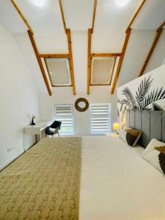 Dendro Apartment-Free parking - Cluj-Napoca - 8