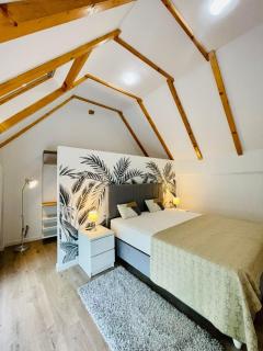 Dendro Apartment-Free parking - Cluj-Napoca - 0