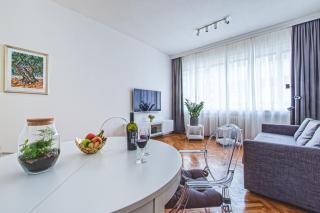 Vlaska 69 Spacious & Central one bedroom apartment 60 m2 - 5