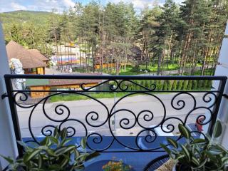Zlatibor apartman Natalija - Zlatibor - 4