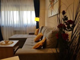 Zlatibor apartman Natalija - Zlatibor - 2