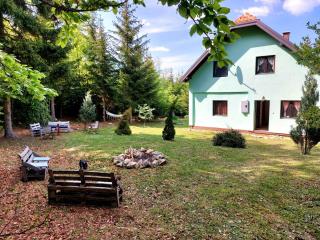 Šumska bajka - Bajina Bašta - 8