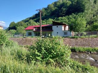 Transilvania 10 - Casa Poarta Văii Jiului - Petroşani - 7
