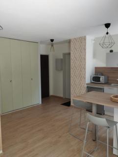Studio climatisé et spacieux situé près des Parcs - Vichy - 4