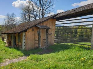 Ladybug Eco House - - 3