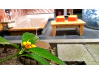 Yuzennoyado Toukai - Vacation STAY 57658v - 3