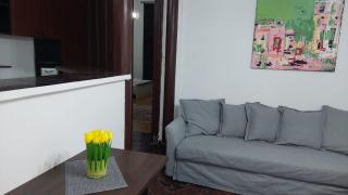 CATALINA RESIDENCE CENTRAL - Timişoara - 6