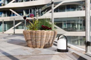 Lys 3 værelses lejlighed med 26 m2 sydvendt altan - 2