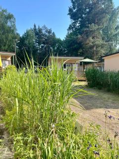 Ośrodek Wypoczynkowy Flora- Firlej - 0