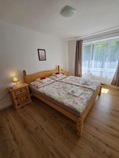 Apartmán u Labe - Děčín - 9