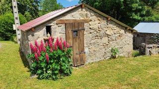 La maison du Mas Rando - Saint-Georges-Nigremont - 7