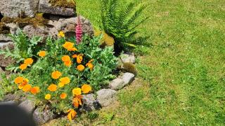 La maison du Mas Rando - 8