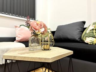 Spacious and Elegant Apartment - Birmingham - 6