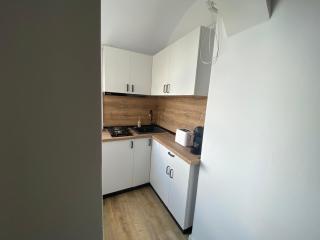 Doinei Cozy Flat - Timişoara - 1