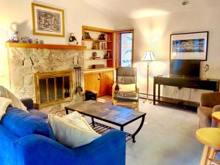 FC20 Remodeled Forest Cottage home - AC, great for kids, lots of yard space! Walk to the slopes! - 9