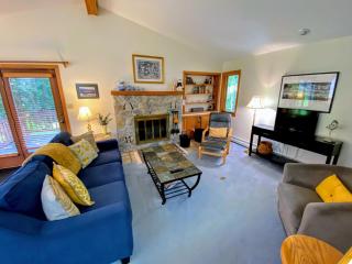 FC20 Remodeled Forest Cottage home - AC, great for kids, lots of yard space! Walk to the slopes! - 7