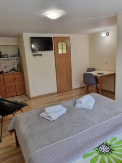 Pokój Kameralny- De Luxe z oddzielnym wejsciem - Karpacz - 9