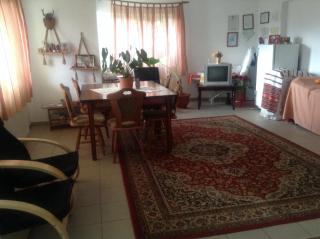 Pension Nicoleta - Costeşti - 8