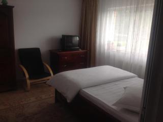 Pension Nicoleta - Costeşti - 7