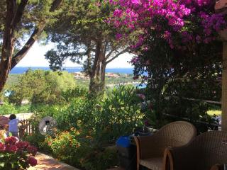 Punta Lada - Porto Rotondo - 8