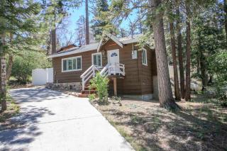 Grizzly Bear - Cozy cabin with forest views! Outdoor Hot tub and a wood burning fireplace! - 0