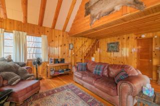 Sweet Blue Spruce - Perfect vintage style two bedroom! Roomy, rustic and cozy little cabin! - Big Bear Lake - 8
