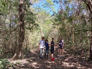 Nicoya Silvestre - Lepanto - 2