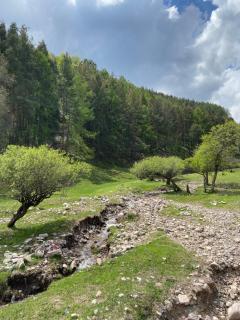 Tazabek guest house - 3