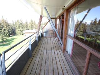 Charmant Appartement Proche Pistes avec Terrasse Sud, Chamrousse 1700 - FR-1-549-127 - 4