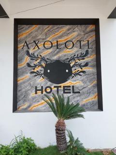 Hotel Axolotl - 3