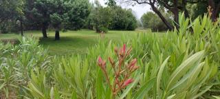 Residence Riviera - 7