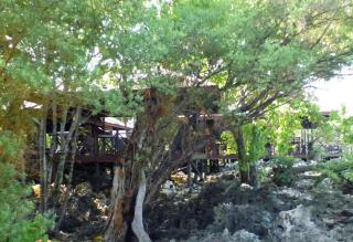 Nunukan Island Resort - Maratua Atoll - 1