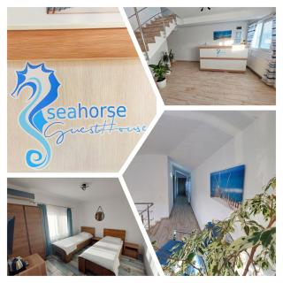 SeaHorse GuestHouse - Năvodari - 9