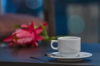 BOOK ME! 3 BR Apartment Beach Front (Side View) - Abu Dhabi - 3