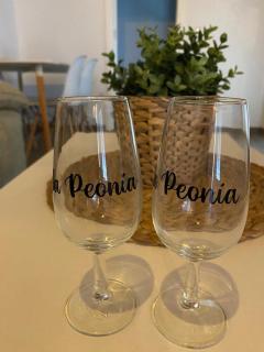 Apartamento Peonía - Jerez de la Frontera - 8