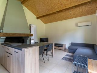 Maison de 40m² à Biscarrosse - Proche lac, pistes cyclables, plage - Accueille 4 pers. - Animaux OK - FR-1-319-484 - Biscarrosse - 4
