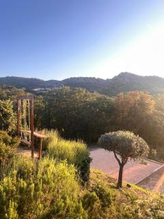 Le Mouron Rouge - La Garde-Freinet - 4