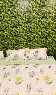 Friends House Hanoi Homestay - 8