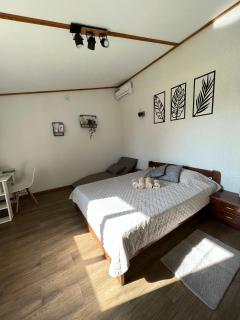 Green House Gribovka - 7