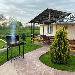 Green House Gribovka - 8