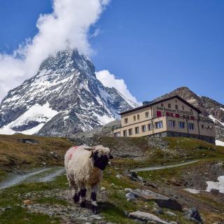 Hotel Schwarzsee - Zermatt - 9