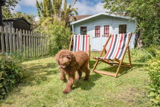 Sea House, Walberswick - 5