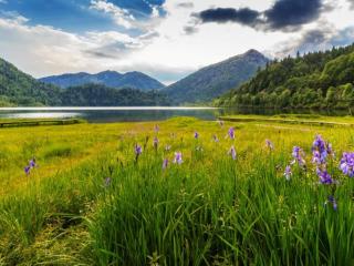 Forsthaus Reit im Winkl - 1